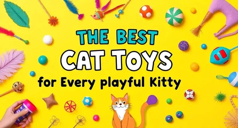 The Best Cat Toys for Playful Kitties: A Complete Guide β Poochi Paws