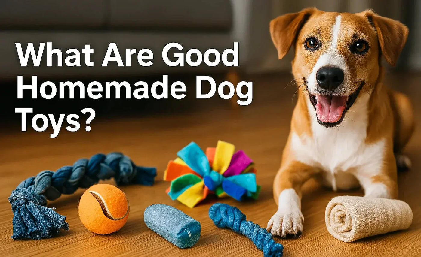 What-Are-Good-Homemade-Dog-Toys-Safe-Fun-Easy-DIY-Ideas Poochi Paws