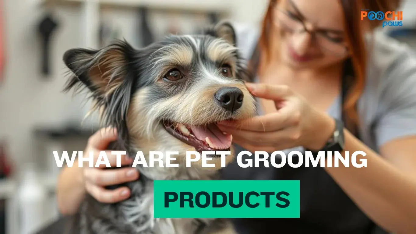 What Are Pet Grooming Products Essential Tools For Pet Care Poochi Paws what-are-pet-grooming-products-essential-tools-for-pet-care-poochi-paws