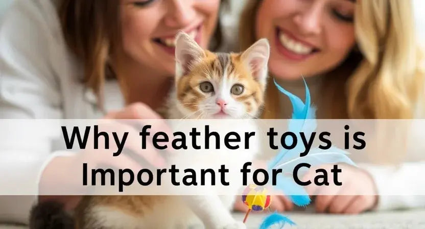 Why Feather Cat Toys Are a Must-Have for Your Cat's Playtime β Poochi Paws