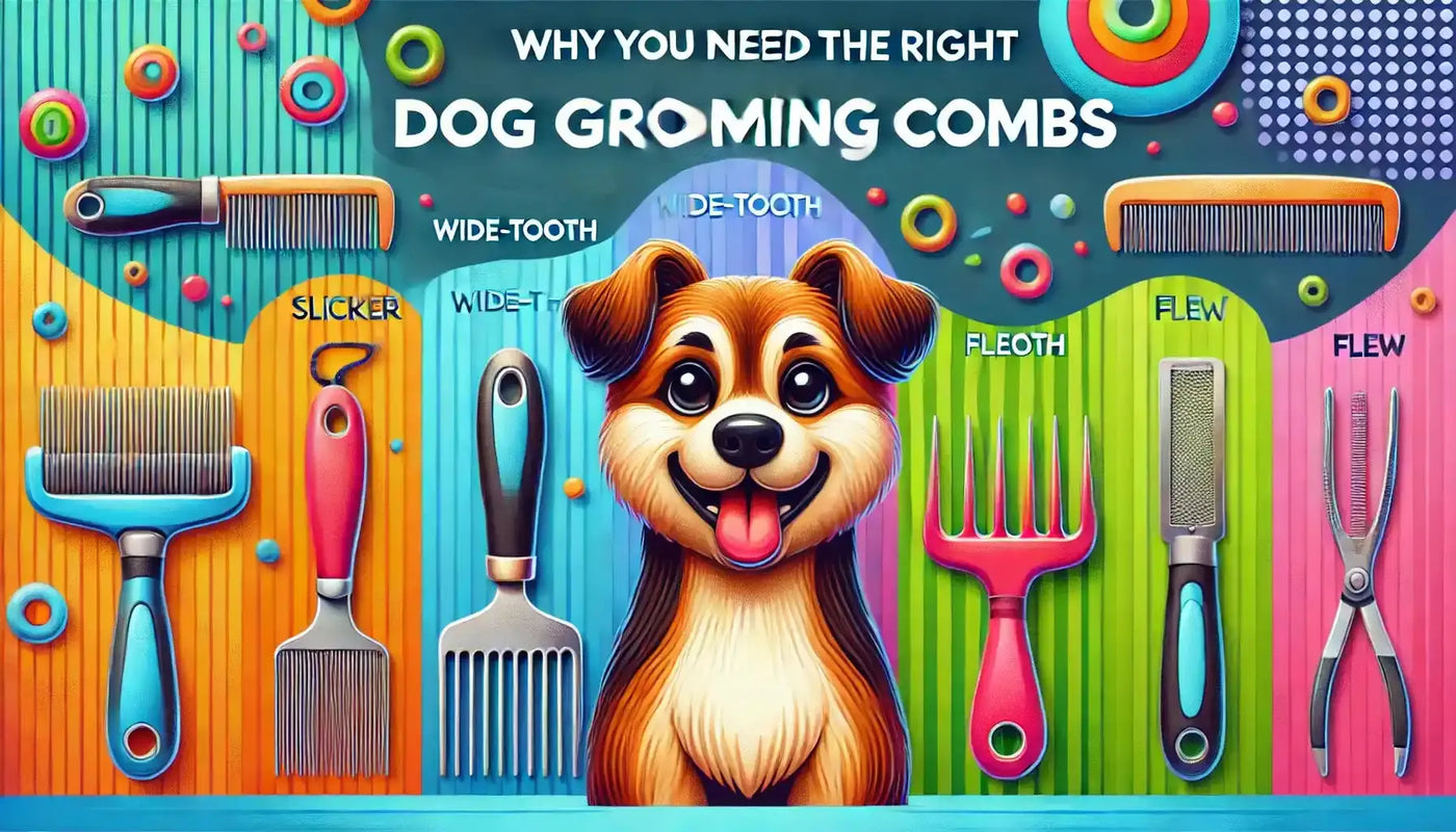 Why You Need the Right Dog Grooming Combs - Poochi Paws