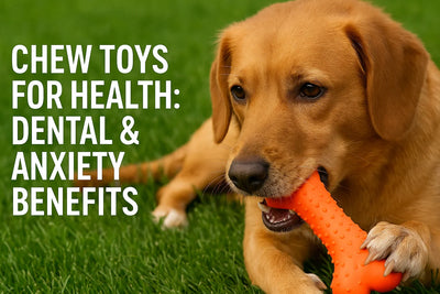 Chew Toys for Health: Dental & Anxiety Benefits