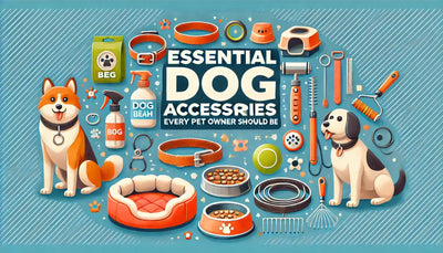 Essential Dog Accessories Every Pet Owner Should Have