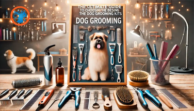 The Ultimate Guide to Choosing the Best Dog Grooming Kits