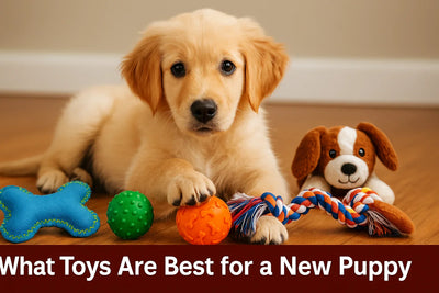 What Toys Are Best for a New Puppy? A Comprehensive Guide for New Pet Parents