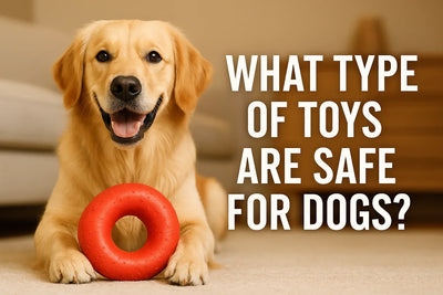 What Type of Toys Are Safe for Dogs?