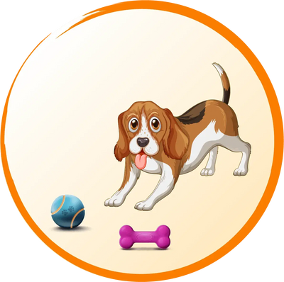 Dog-Ball-Fetch-Toys Poochi Paws