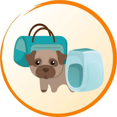 Dog-Diapers-Training-pads Poochi Paws