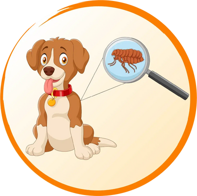 Dog-Tick-Flea Poochi Paws