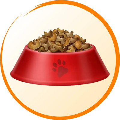 Elevated Bowls - Poochi Paws