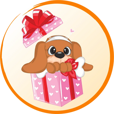 New-puppy-or-kitten-accessories Poochi Paws