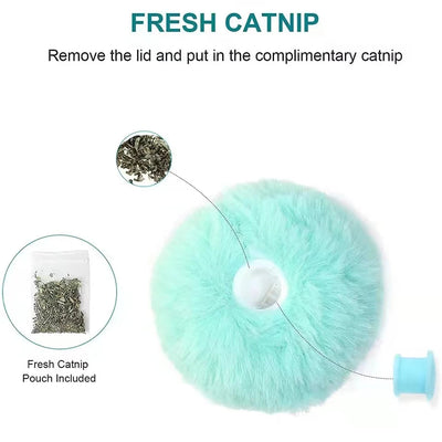 Interactive Catnip Squeak Ball Alidrop