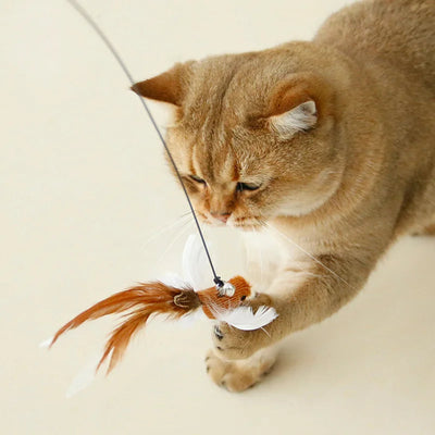 Hands-Free Cat Wand Toy Alidrop