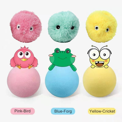 Interactive Catnip Squeak Ball Alidrop