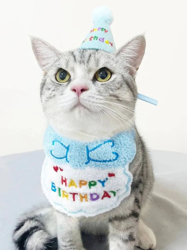 Adorable Pet Birthday Party Set for Dogs & Cats – Poochi Paws
