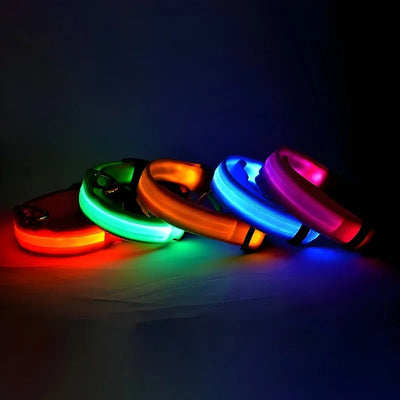LED Glow Dog Collar Alidrop