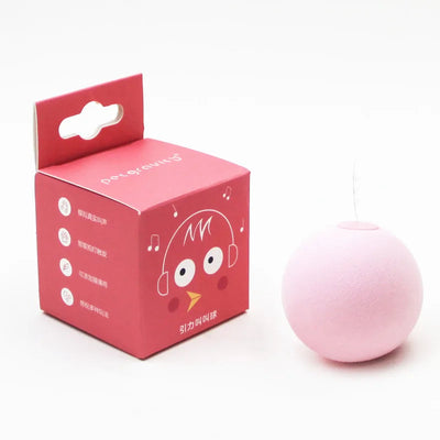 Interactive Catnip Squeak Ball Alidrop