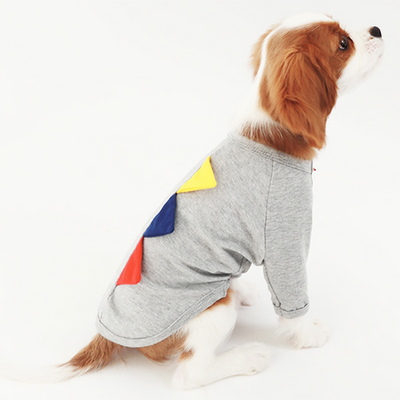 Stylish Pet Costume Set - T-Shirt & Sleeveless Combo Emerald Alfie