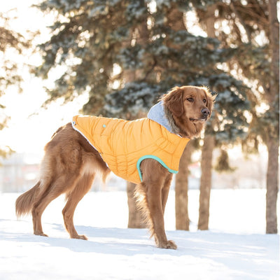 Winter Sailor Parka - Yellow: Bright Style Meets Cozy Warmth Beige Antigone