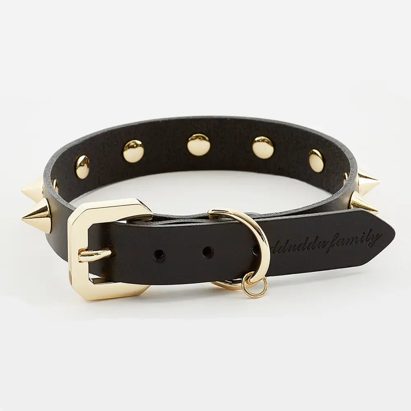 Golden Spike Black Collar Emerald Alfie