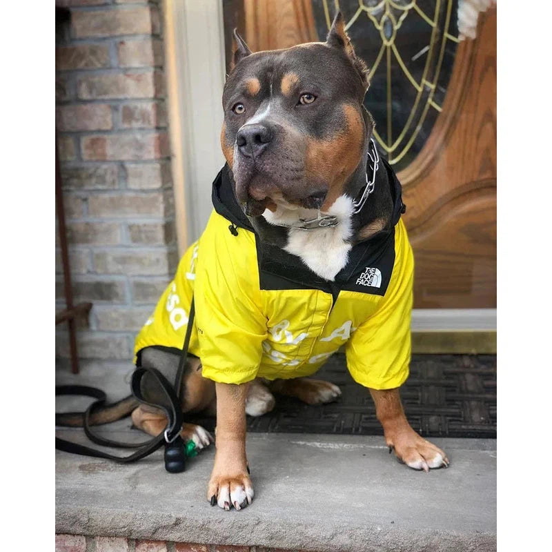 Waterproof Dog Raincoat with Hood for All Breeds AliExpress
