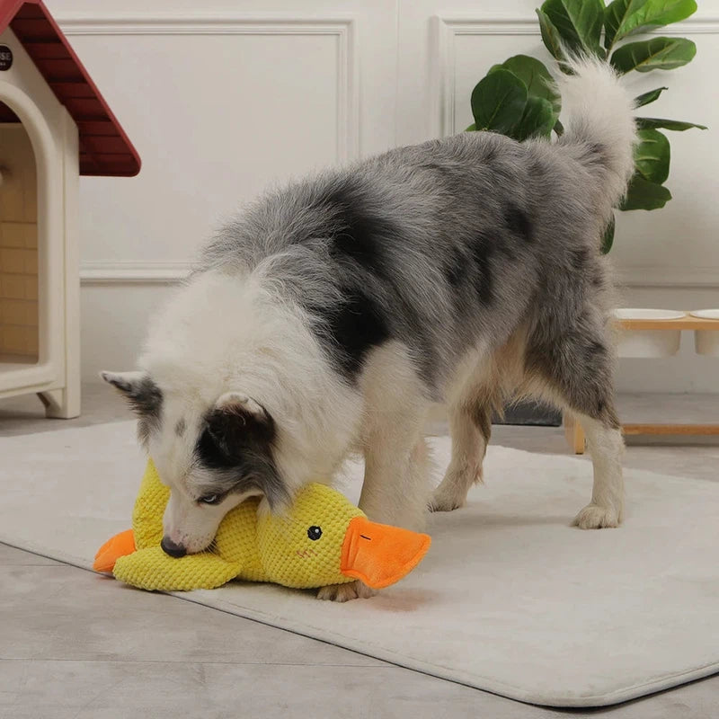 Duck Chew Toy – Fun & Sound Interactive AliExpress