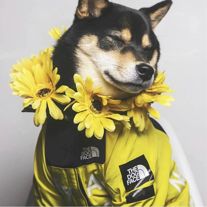 Waterproof Dog Raincoat with Hood for All Breeds AliExpress