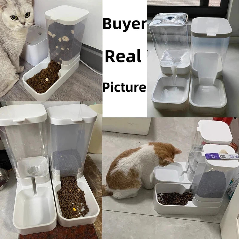 Automatic Dog & Cat Feeder with Water Dispenser AliExpress