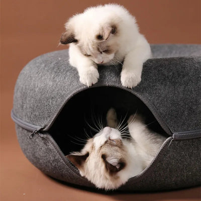 Donut Cat Bed & Tunnel Interactive Playhouse AliExpress
