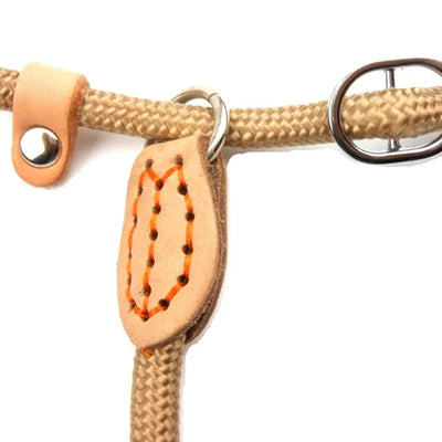 Heavy-Duty Braided Slip Leash for Large Dogs AliExpress