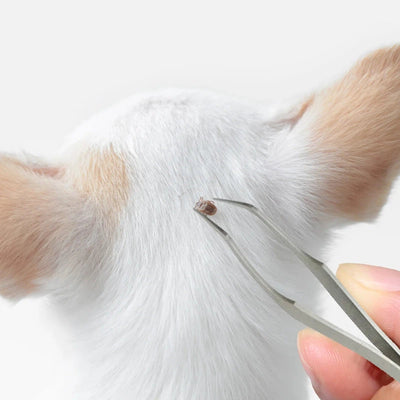 Stainless Steel 2-in-1 Tick Remover Tool AliExpress