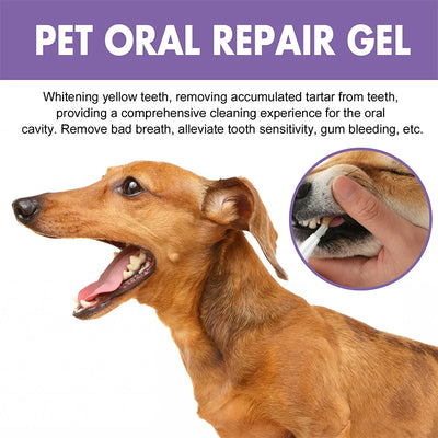 Pet Teeth Cleaning Pen Set AliExpress