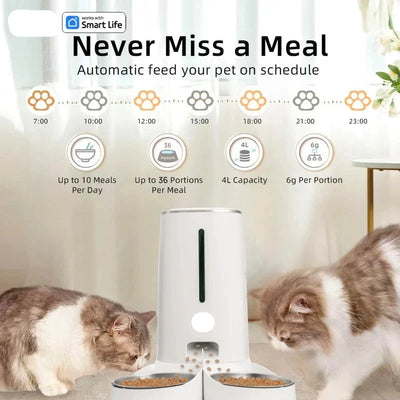 WiFi Cat Feeder with APP Control & Dual Bowls AliExpress