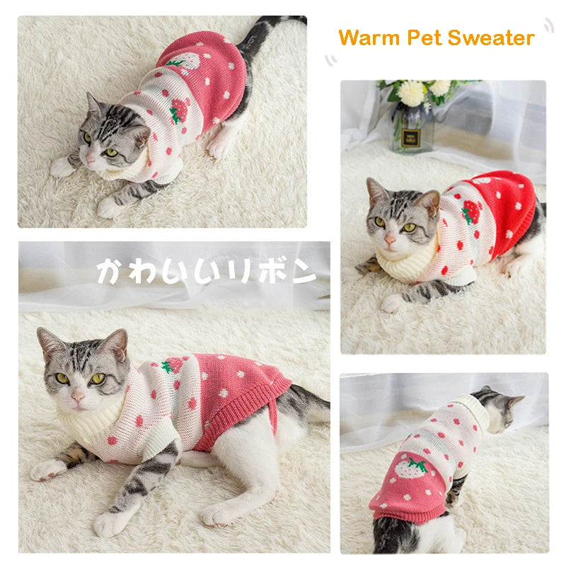 Cozy Winter Sweater for Small & Medium Cats AliExpress