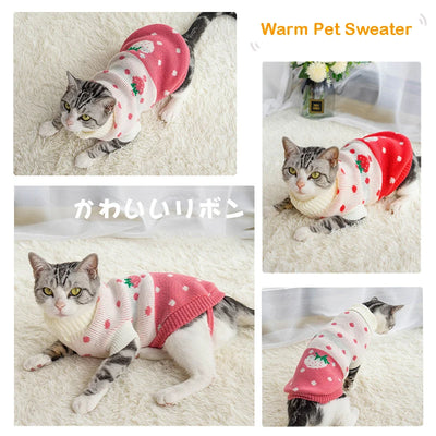 Cozy Winter Sweater for Small & Medium Cats AliExpress