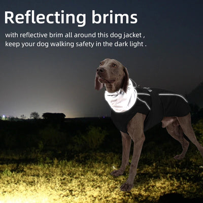 Luxury Winter Dog Jacket for Small & Large Dogs AliExpress