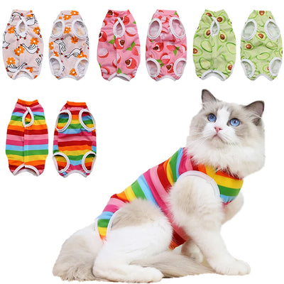 Cat Weaning & Sterilization Suit for Recovery AliExpress