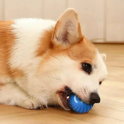 USB Smart Bouncing Dog Toy Ball AliExpress