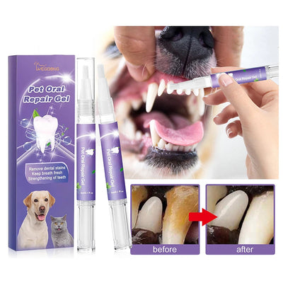 Pet Teeth Cleaning Pen Set AliExpress