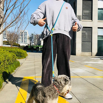 Reflective Nylon Dog Leash for Safe Hands-Free Walking AliExpress