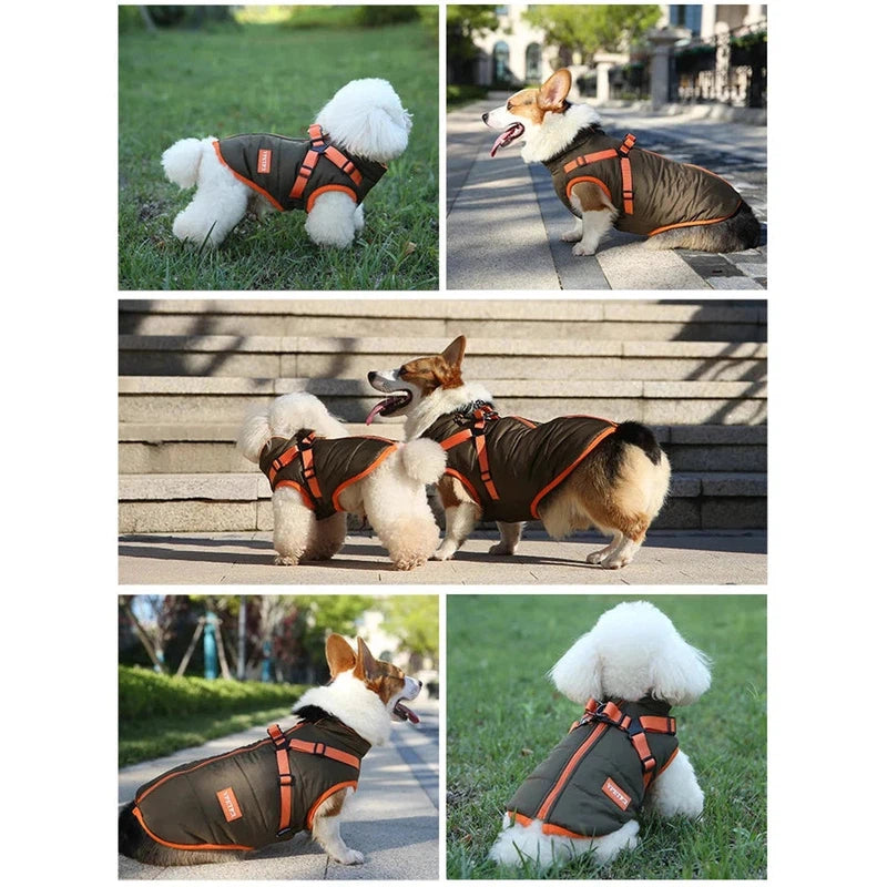 Waterproof Winter Jacket for Small Dogs with Harness AliExpress