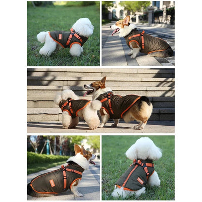 Waterproof Winter Jacket for Small Dogs with Harness AliExpress
