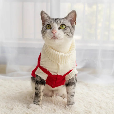 Cozy Winter Sweater for Small & Medium Cats AliExpress