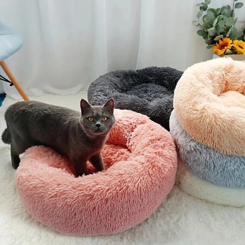 Soft Plush Round Cat Bed for Cozy Sleep AliExpress