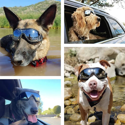 Adjustable Dog Goggles for Travel & Snow Protection AliExpress