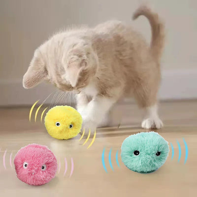 Interactive Catnip Squeak Ball Alidrop