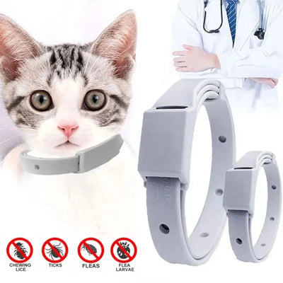 Anti-Flea & Tick Pet Collar - Poochi Paws
