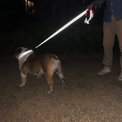 Reflective Pet Walking Leash Alidrop