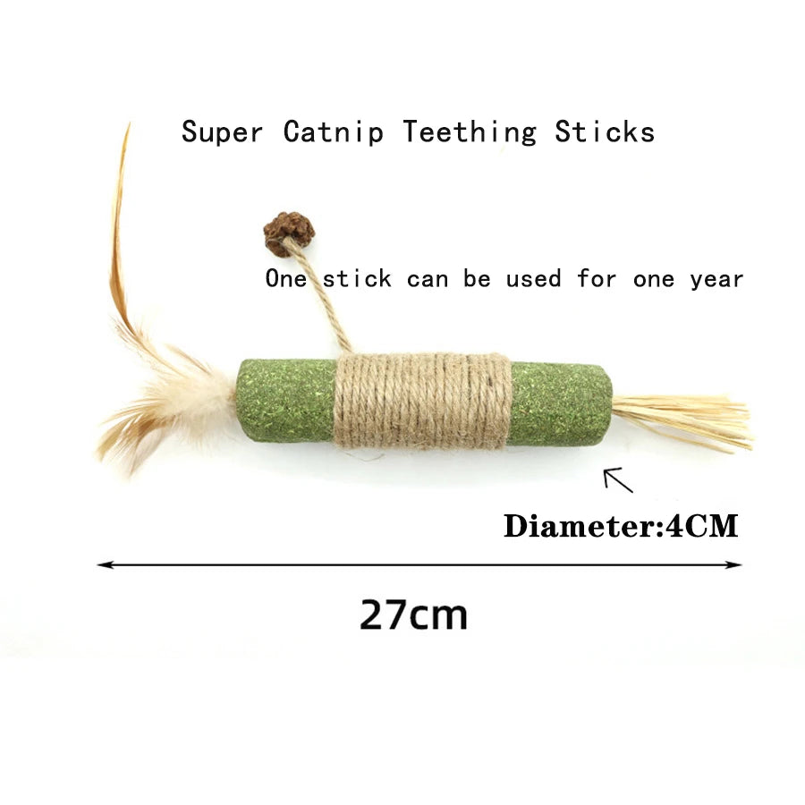 Interactive Catnip Squeak Ball