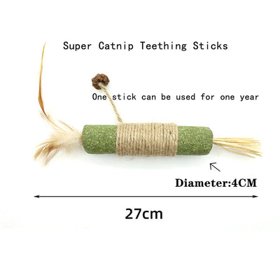 Interactive Catnip Squeak Ball